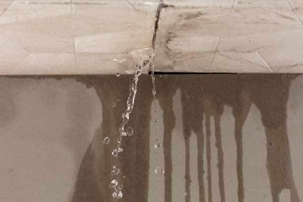 Professional Structural Drying technician working in Paris, TX